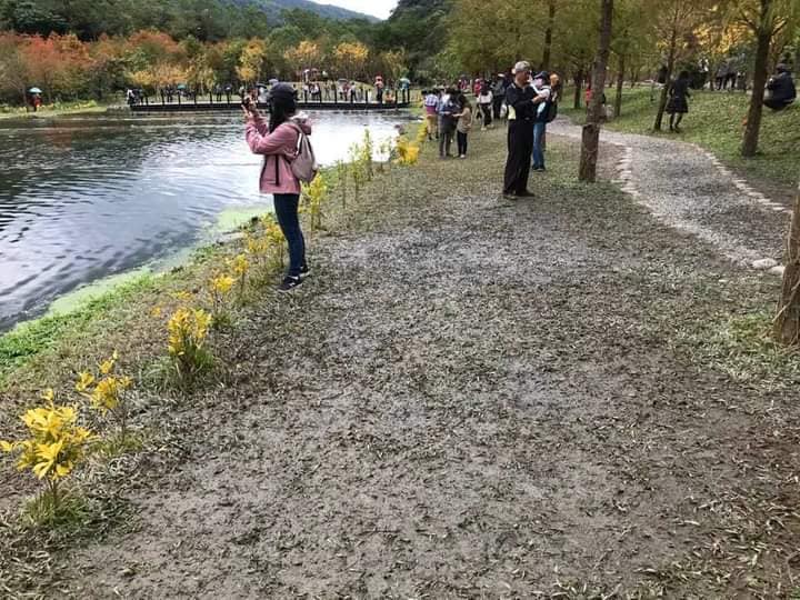 爆紅的三層坪環境受到衝擊|圖:翻攝自宜蘭縣枕山產業文化促進會粉絲專頁