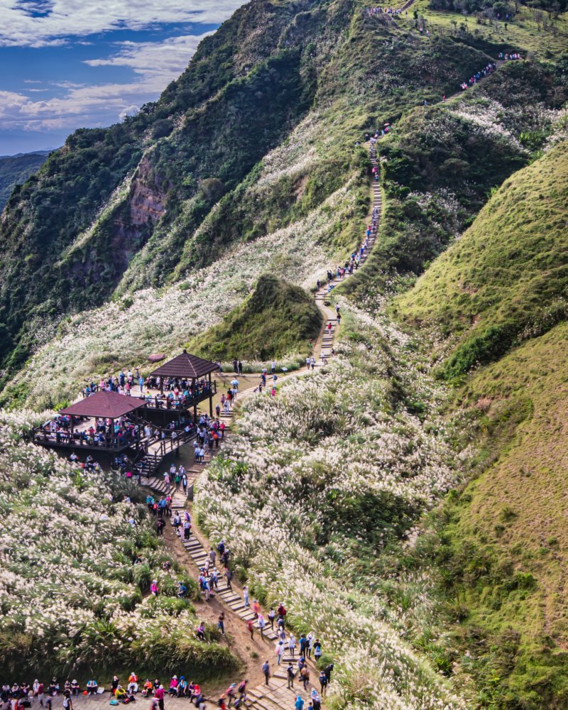銅牌獎-劉昭君-山巒芒草情|圖:東北角暨宜蘭海岸國家風景區管理處提供