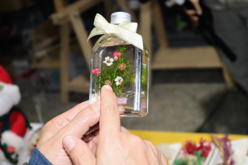 浮游花起源於日本,是植物標本的一種觀賞品|宜蘭市公所提供